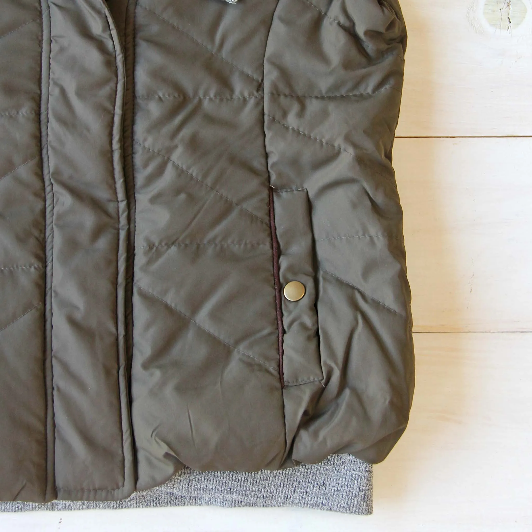 Forest Smoke Hooded Vest in Olive