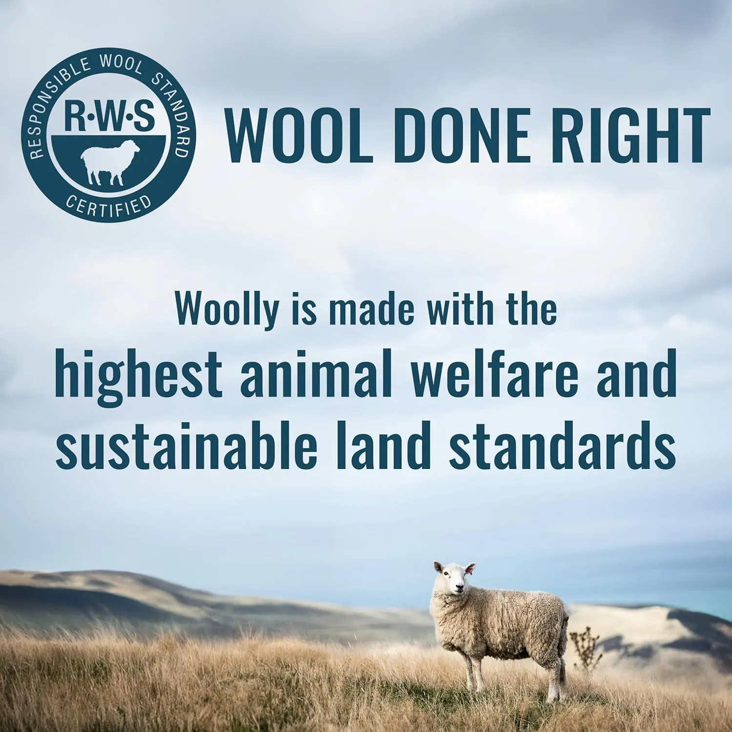 Men's Merino T-Shirt by Woolly | RWS Certified | Soft, Stink Free, Seattle Designed