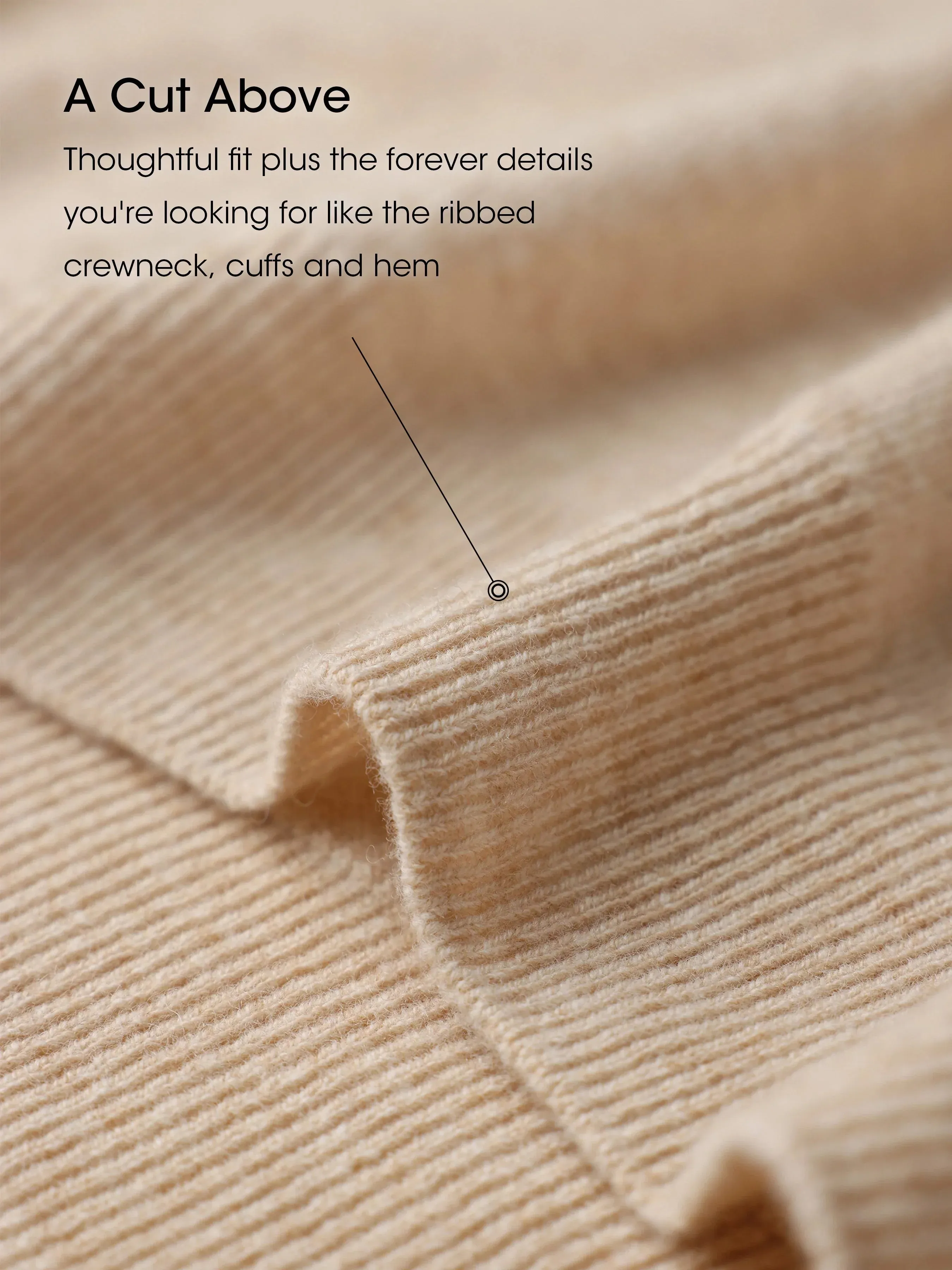 Nina 100% Merino Wool Oatmeal Fitted Crewneck Pullover